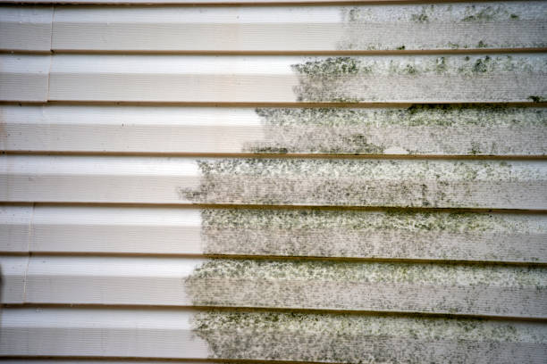 Best Same-Day Junk Removal Services  in Northchase, NC
